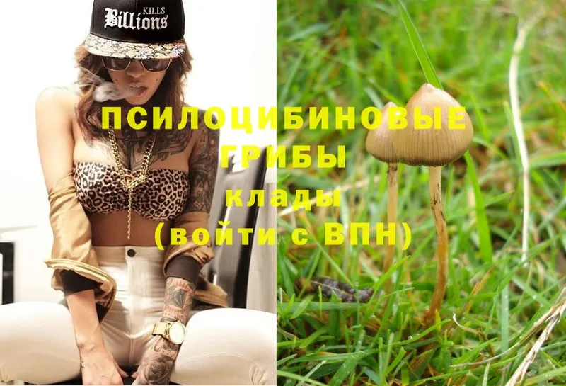 сколько стоит  нарко площадка как зайти  Псилоцибиновые грибы Magic Shrooms  Фурманов 